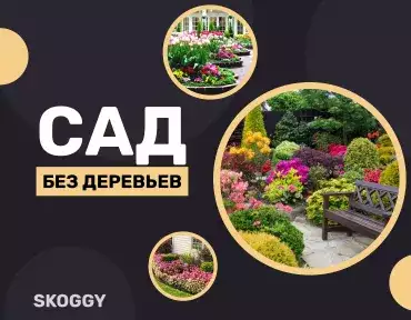Сад без деревьев