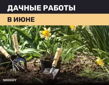 Дачные работы в июне