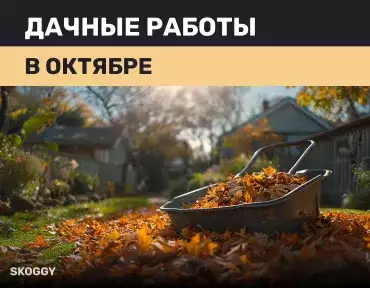 Дачные работы в октябре